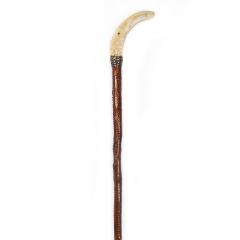 Very Fine Carved Bird Head Antique Walking Stick Cane - 4502624