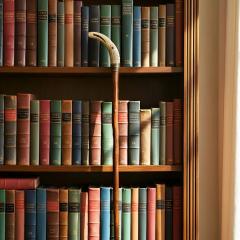 Very Fine Carved Bird Head Antique Walking Stick Cane - 4502625