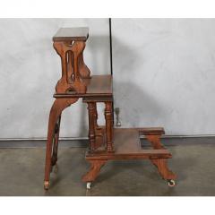Victorian Amorphic Chair - 1950380