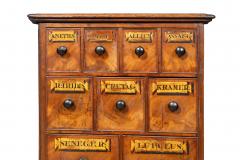 Victorian Mahogany Apothecary Chest - 4260996