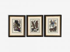 Victorian Style Framed Butterfly Prints Gilt Painted Wood USA 20th c  - 4694871