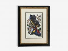 Victorian Style Framed Butterfly Prints Gilt Painted Wood USA 20th c  - 4694873