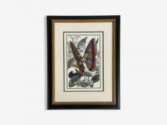 Victorian Style Framed Butterfly Prints Gilt Painted Wood USA 20th c  - 4694874