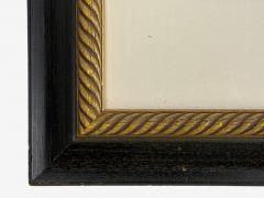 Victorian Style Framed Butterfly Prints Gilt Painted Wood USA 20th c  - 4694882