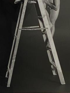 Vintage Art Photograph of a Man on a Ladder - 1531846