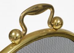 Vintage Brass and Wire Fireplace Screen - 4548832