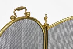 Vintage Brass and Wire Fireplace Screen - 4548833