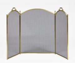 Vintage Brass and Wire Fireplace Screen - 4548835