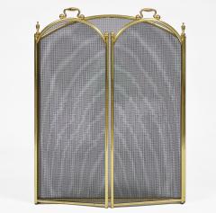 Vintage Brass and Wire Fireplace Screen - 4548836