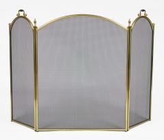 Vintage Brass and Wire Fireplace Screen - 4552160