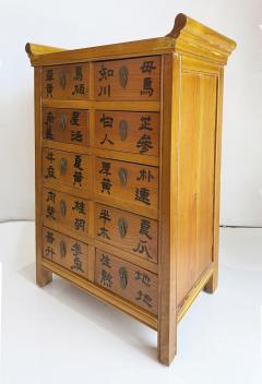 Vintage Chinese Apothecary Cabinet Painted Calligraphy 10 Drawers - 4571860
