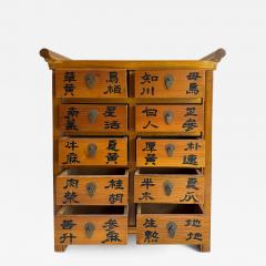 Vintage Chinese Apothecary Cabinet Painted Calligraphy 10 Drawers - 4574227