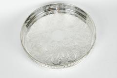 Vintage English Plate Round Gallery Tray - 400118