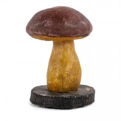 Vintage Instructional Mushroom Model - 1551356