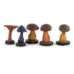 Vintage Instructional Mushroom Model - 1551361
