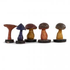 Vintage Instructional Mushroom Model - 1551362