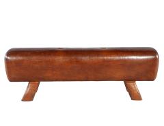 Vintage Leather Pommel Horse Circa 1950 s - 4410864