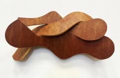 Vintage Organic Interwoven Abstract Bent Wood Wall Sculpture - 4149965