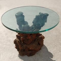 Vintage Root Side Table with Glass Top - 2795282