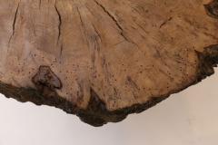Vintage Tree Trunk Coffee Table - 1390974