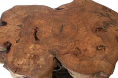 Vintage Tree Trunk Coffee Table - 3806573