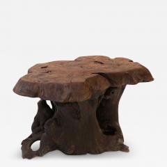 Vintage Tree Trunk Coffee Table - 3809086