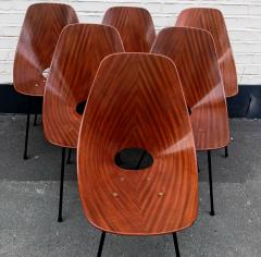 Vittorio Nobili 1950s Set of 6 Medea Chairs - 317384