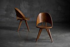 Vittorio Nobili Mid Century Plywood Dining Chairs Italy 1950s - 4431539