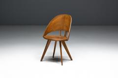 Vittorio Nobili Mid Century Plywood Dining Chairs Italy 1950s - 4431560