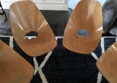 Vittorio Nobili Set of Six Medea Chairs by Vittorio Nobili - 4231930