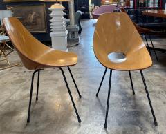 Vittorio Nobili Set of Six Medea Chairs by Vittorio Nobili Italy 1955 - 1199807