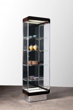 Vladimir Kagan Ribbon Vitrine Model 7711 by Vladimir Kagan - 4708473