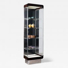 Vladimir Kagan Ribbon Vitrine Model 7711 by Vladimir Kagan - 4709302