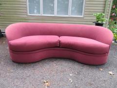 Kidney bean shaped online couch