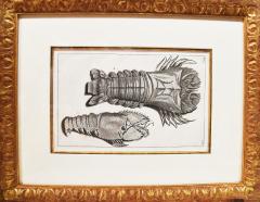 WALTER SPIES WALTER SPIES Insect Studies WATERCOLORS Set of 4 - 4133531