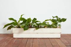 WHITE WILLY GUHL RECTANGLE PLANTER - 3731024