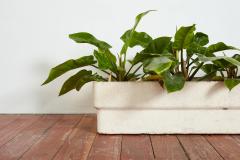 WHITE WILLY GUHL RECTANGLE PLANTER - 3731025