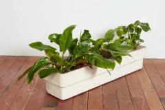 WHITE WILLY GUHL RECTANGLE PLANTER - 3731027