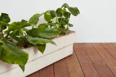 WHITE WILLY GUHL RECTANGLE PLANTER - 3731028