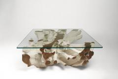 Walker Zabriskie Square Teak Root Coffee Table I - 2956884