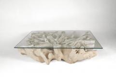 Walker Zabriskie Teak Root Coffee Table F - 2940581