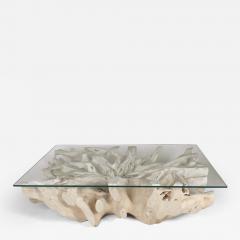 Walker Zabriskie Teak Root Coffee Table F - 2942582