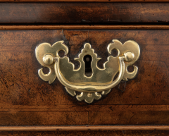 Walnut chest on chest with original hardware - 2484895