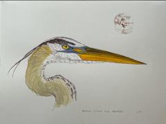 Walton Ford WALTON FORD AMERICAN B 1960 HERON STUDY FOR VESPERS 2022 - 3062504