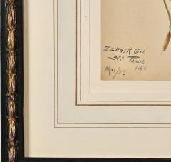 Watercolor Botanical U S A dated 1928 - 3636750