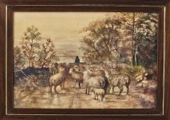 Watercolor of Sheep U S A circa 1950 - 4013846