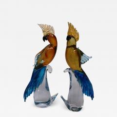 Wave Murano Glass Fancy Parakeets  - 661206