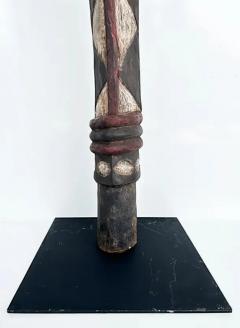 Western African Guinea or Senegal Baga Serpent Sculptures on Custom Iron Stands - 3579226