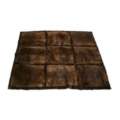 Western European Natural Otther Fur Rectangular Rug France 1970s - 1907798