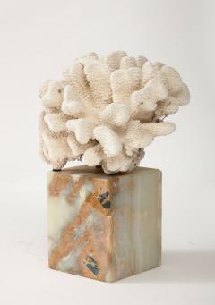 White Coral Sculpture on Marble Base - 3424914